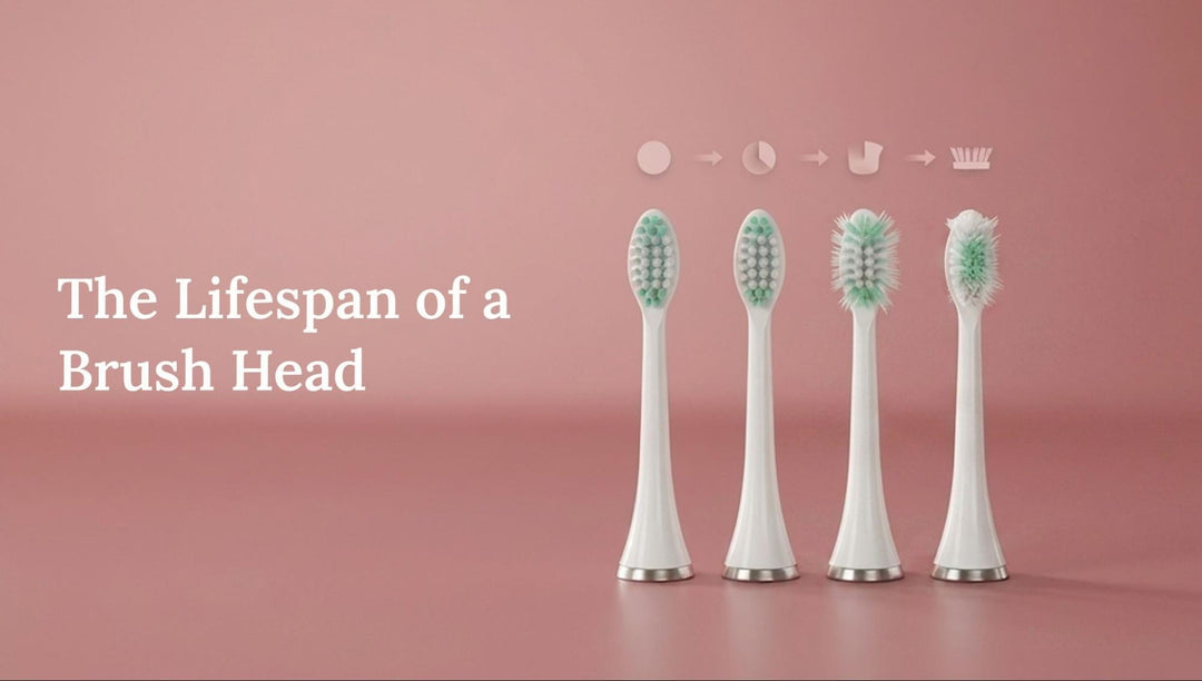 Electric Toothbrush Replacement Heads: Types, Lifespan & How to Choose