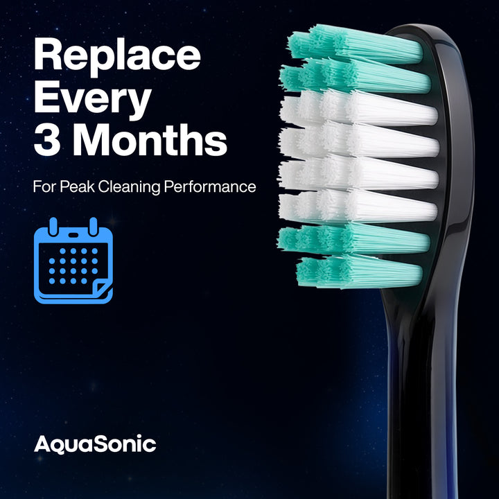 AquaSonic Standard replacement brush heads, Black 8 Pack, Replace Every 3 Months #color_black
